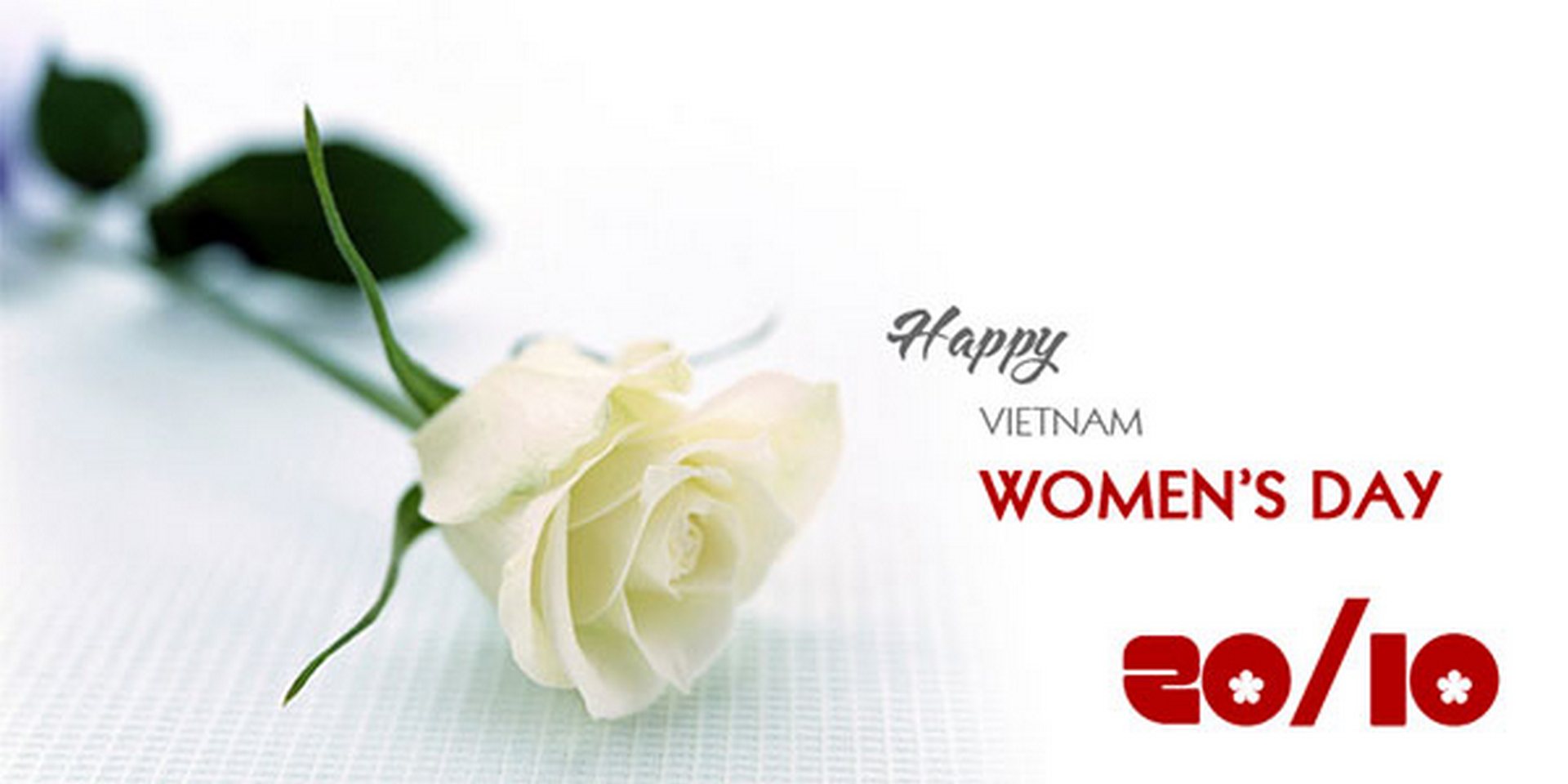 Showroom Inax Hải Linh chúc mừng ngày Phụ nữ Việt Nam 20-10