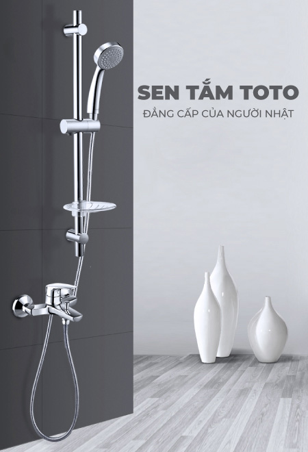 banner sen tam