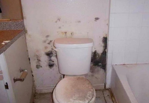 nhà vệ sinh bị thấm