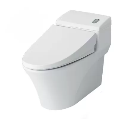 Bồn cầu 1 khối Inax AC-1008VRN