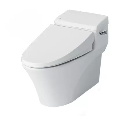Bồn cầu 1 khối Inax AC-1017VRN