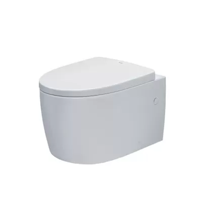 Bồn cầu treo tường Inax AC-952VN